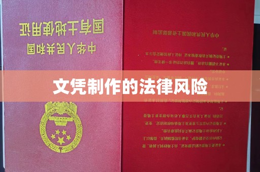 保税港区文凭制作的法律风险